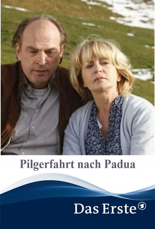 Pilgerfahrt nach Padua (2011)