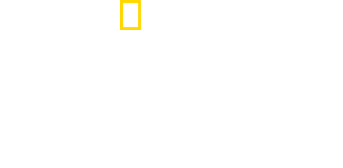 No Taste Like Home with Antoni Porowski