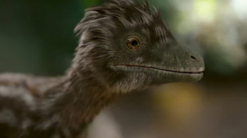 Os Dinossauros: 1×1