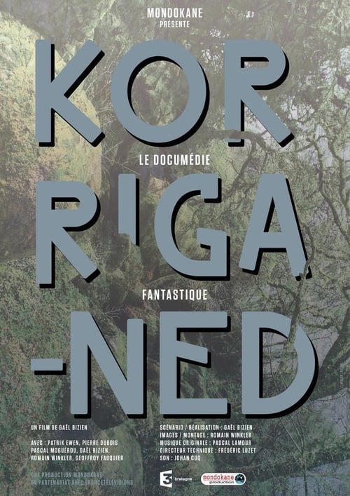 Poster Korriganed 2019