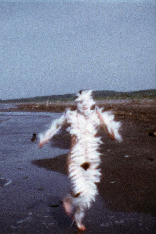 Bird Run постер