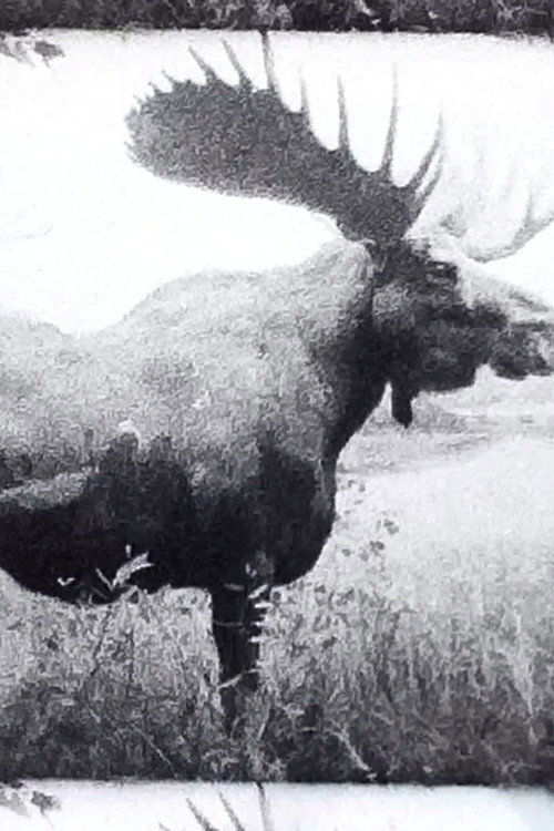 Unas bolitas de mercurio