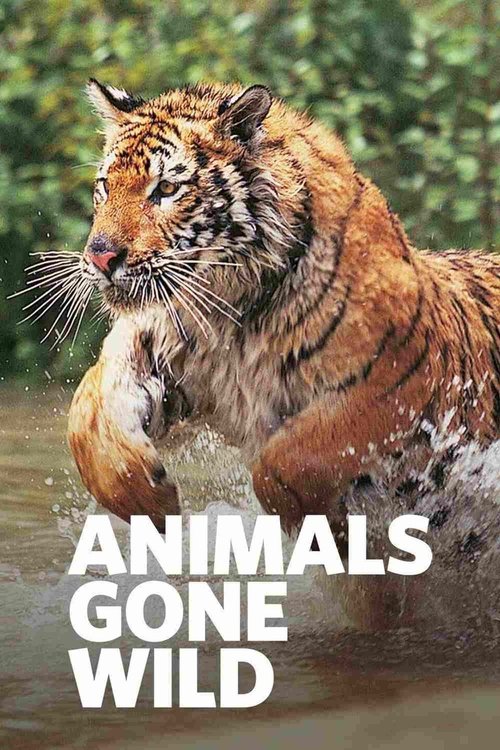 Animals Gone Wild cover