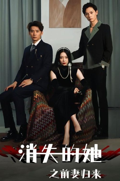 消失的她之前妻归来