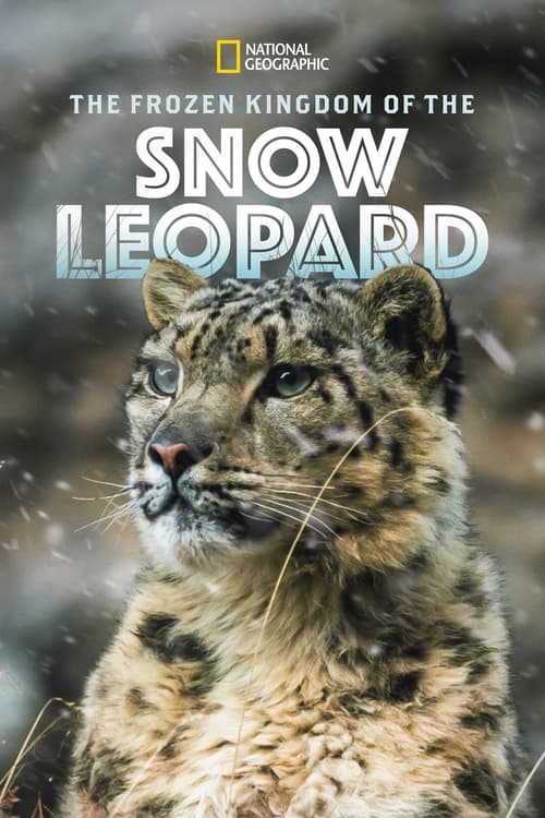 Poster Le Royaume du léopard des neiges 2020