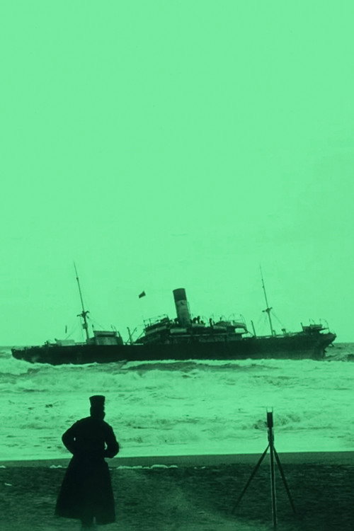 Póster oficial de The Shipwreck of the Veronese (1913) - Documentary
