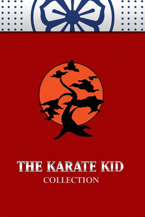 Karate Kid Filmreihe Poster