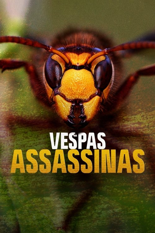 Vespas Assassinas
