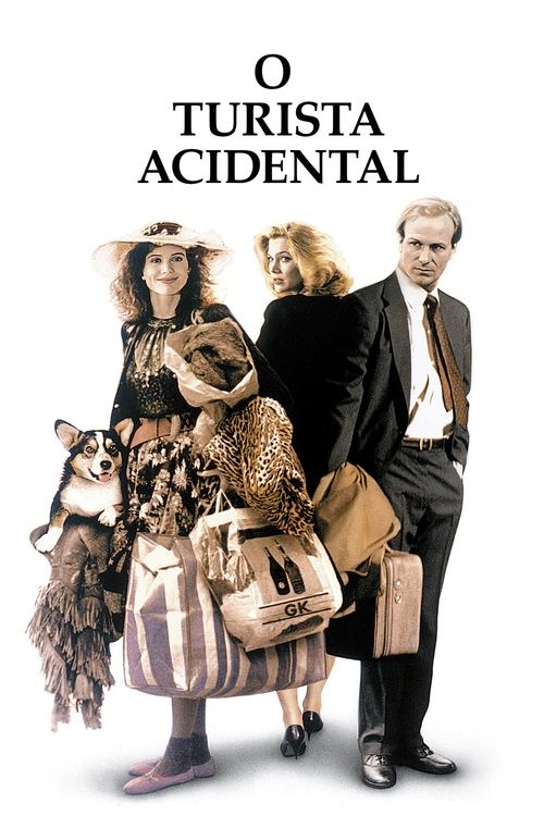 Poster do filme O Turista Acidental