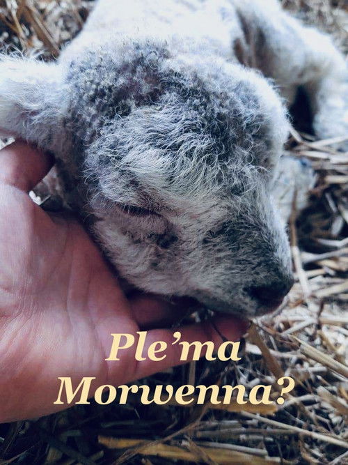 Ple'ma Morwenna?