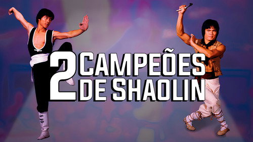 Two Champions of Shaolin — still 2