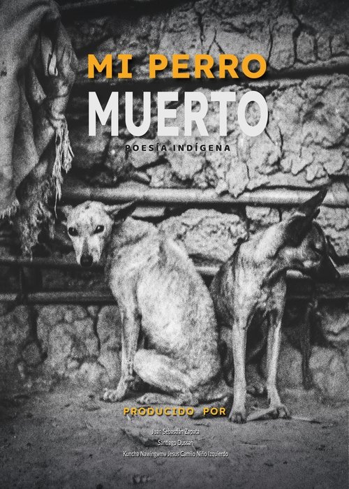 Mi perro muerto (2024) poster