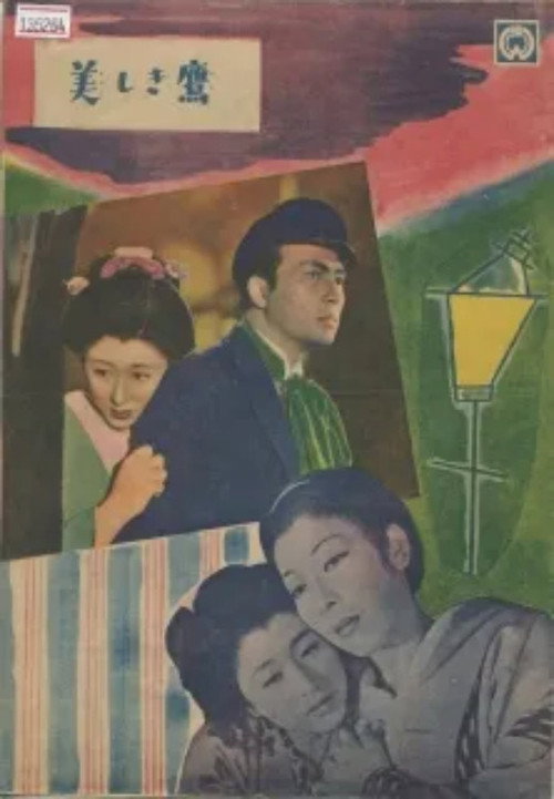 美しき鷹