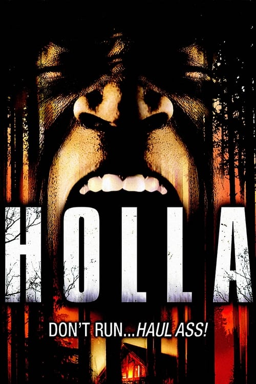 Holla poster