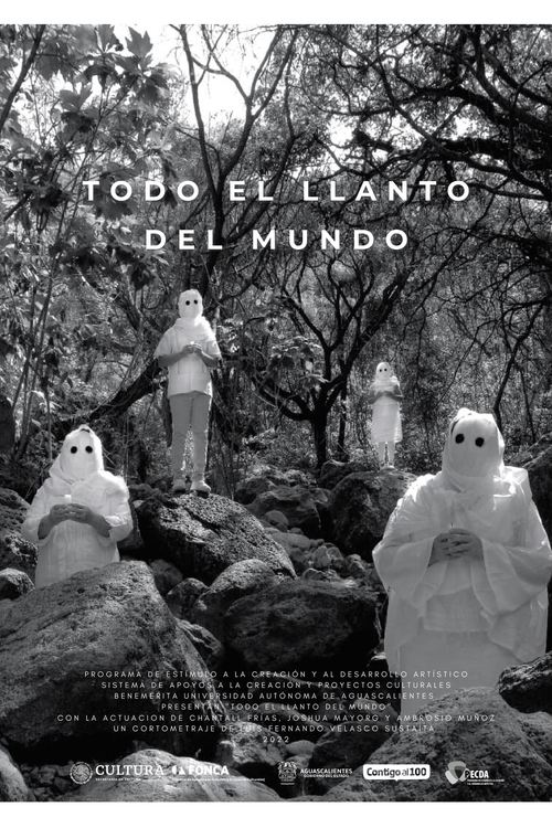 Todo el llanto del mundo (2022) poster