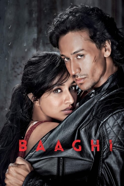 Poster de Baaghi