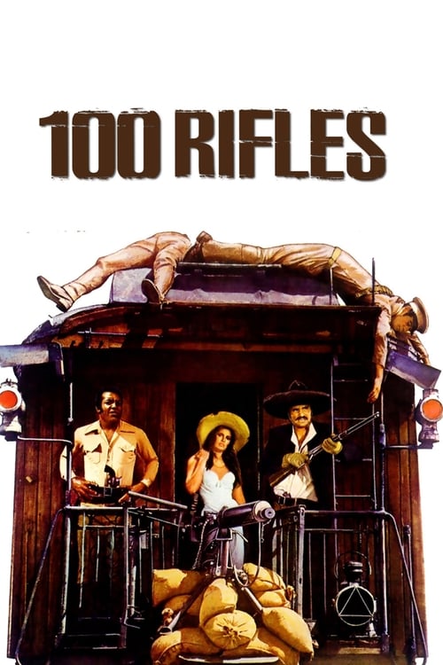 Where to stream 100 Rifles