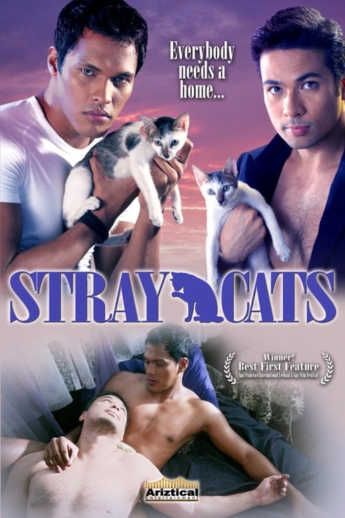 Stray Cats 2005