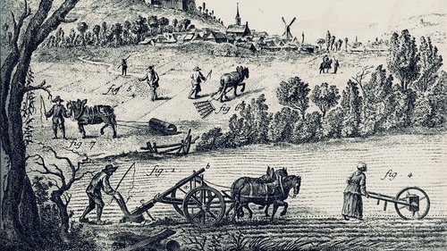 A History of the European Rural Life