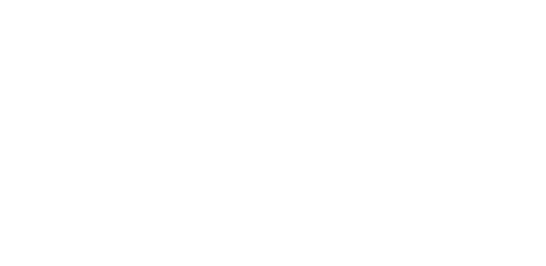 PERFECT DAYS