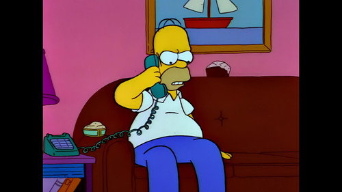 Les Simpson 3x13
