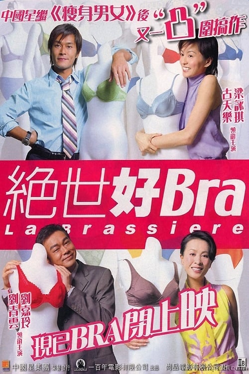 絕世好Bra (2001) poster