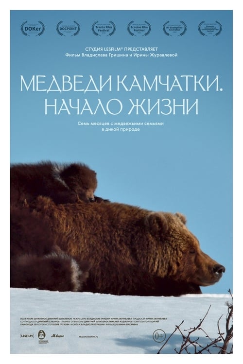 Schauen Kamchatka Bears. Life Begins On-line Streaming