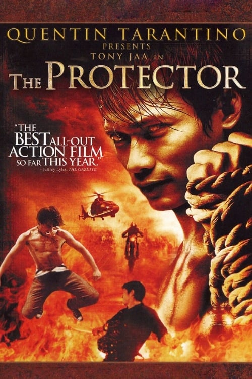 Largescale poster for The Protector