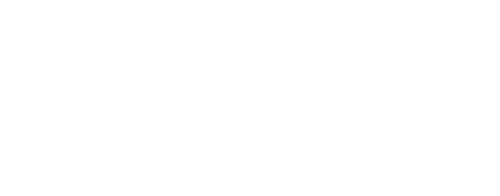 Magnolia Workshops: Fundamentals of Floral Design