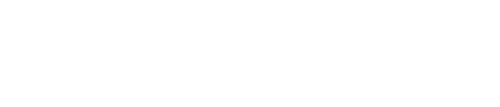 A Brief History of the Future