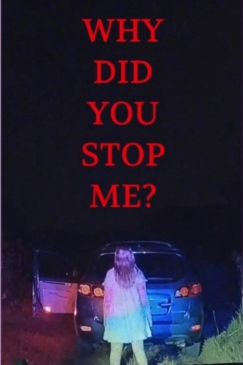 Why Did You Stop Me?