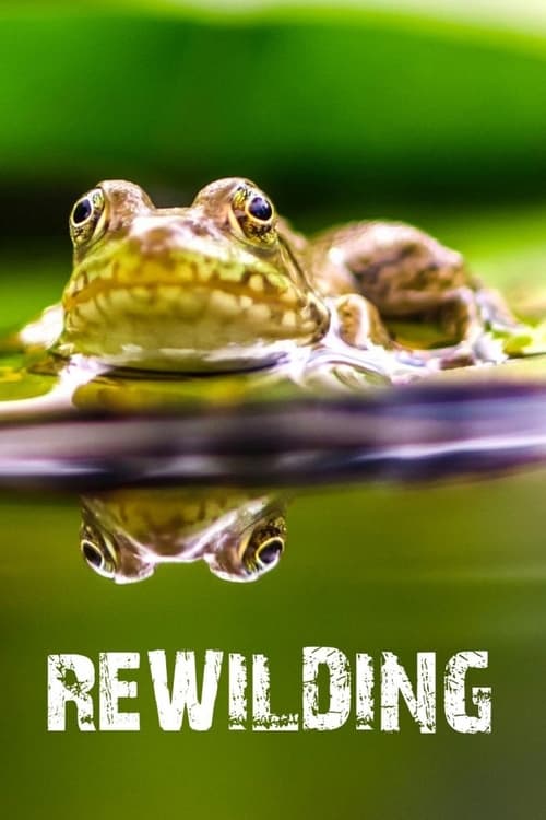 Rewilding (2017)