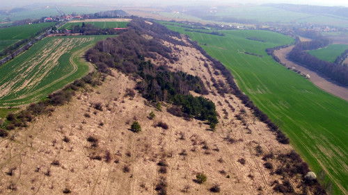 Image de l'épisode 7