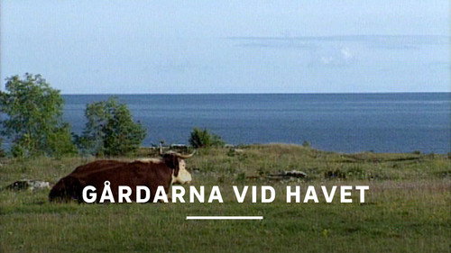Gårdarna vid havet Backdrop Blur