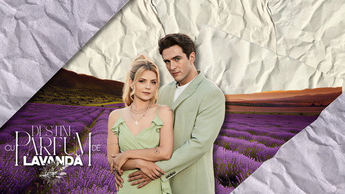 Destine cu parfum de lavandă
