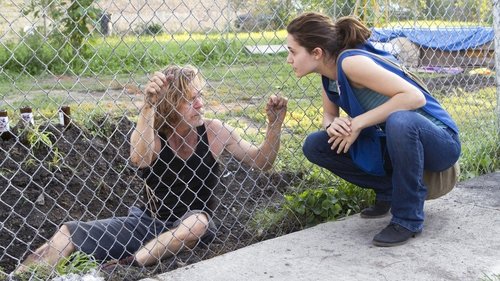 Shameless (US): 3×5