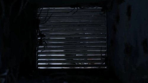 Infested Screenshot