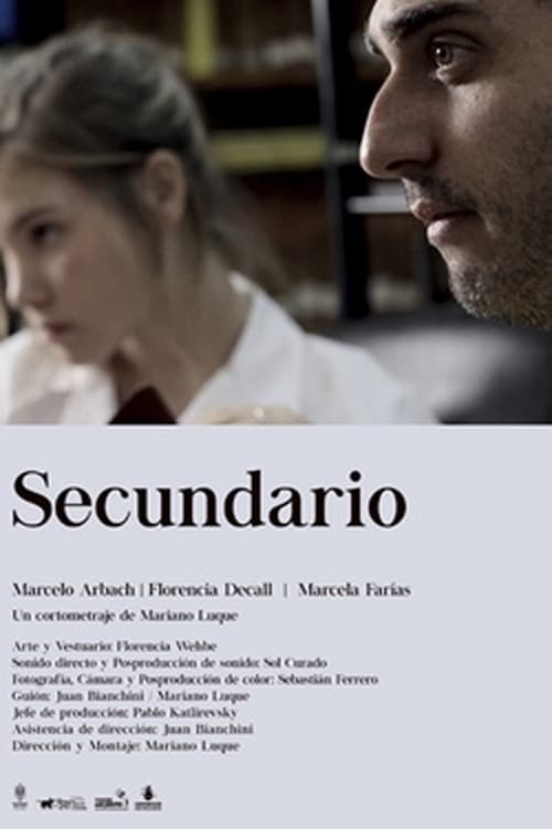 Secundario (2010) poster