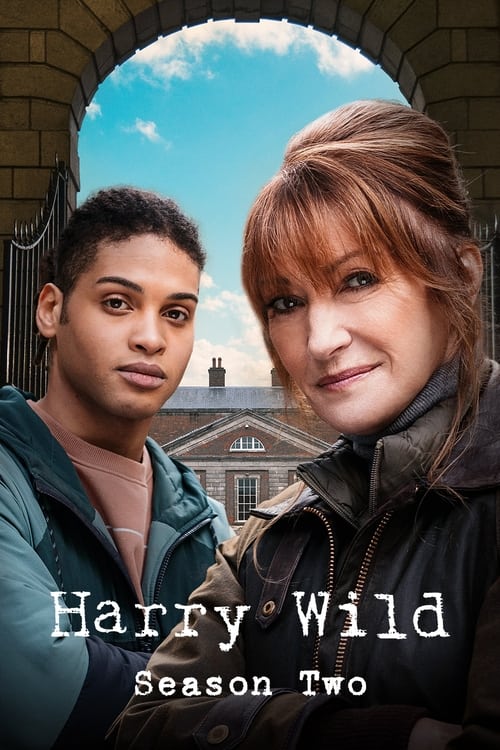 Harry Wild - Saison 2