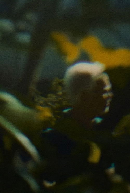 My Friend Phil poster