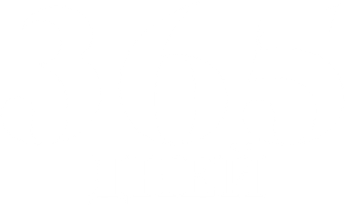365 дней