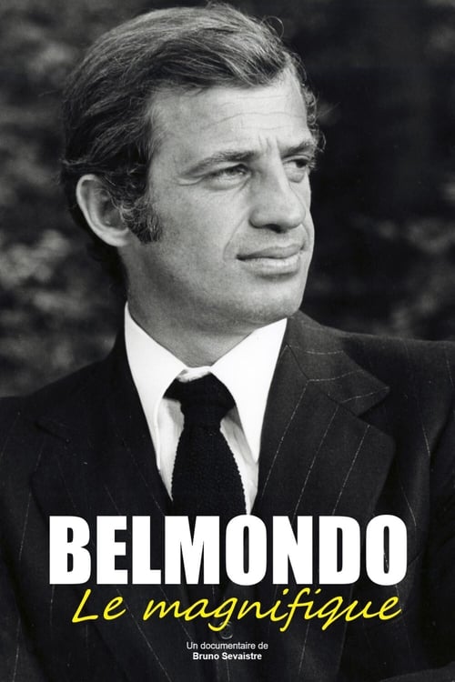 Belmondo, le magnifique Movie Poster Image