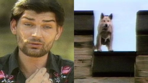 Image de l'épisode 20