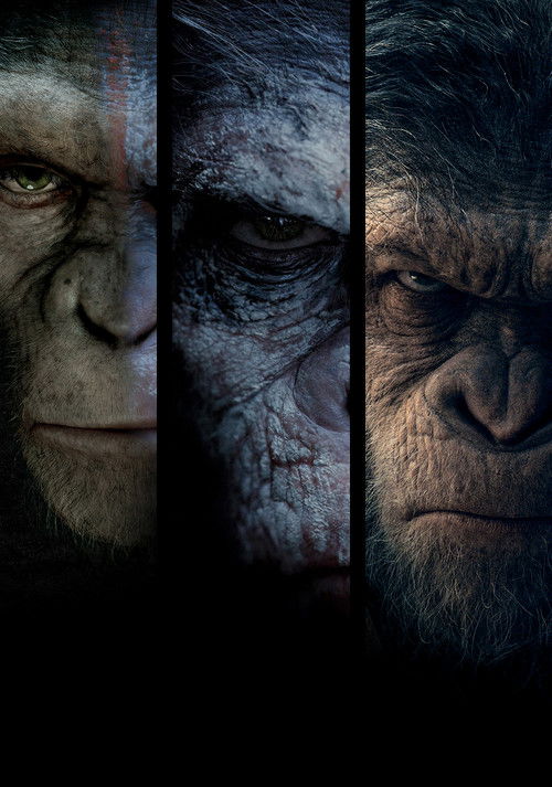 Pòster de El planeta dels simis (L'origen) - Col·lecció