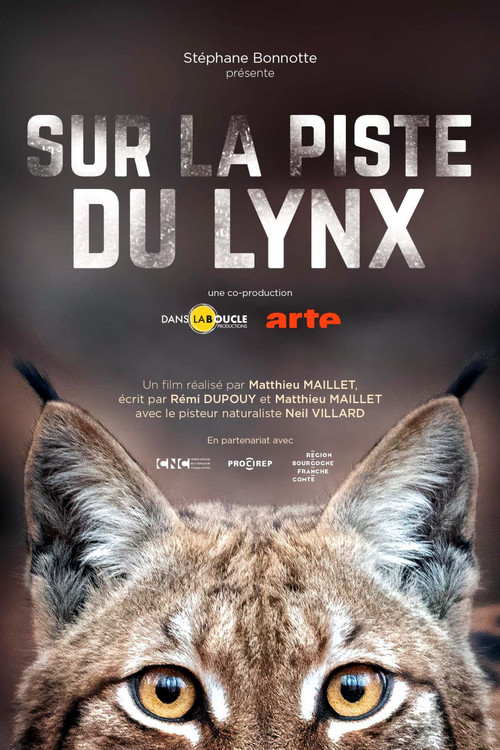 Image du film