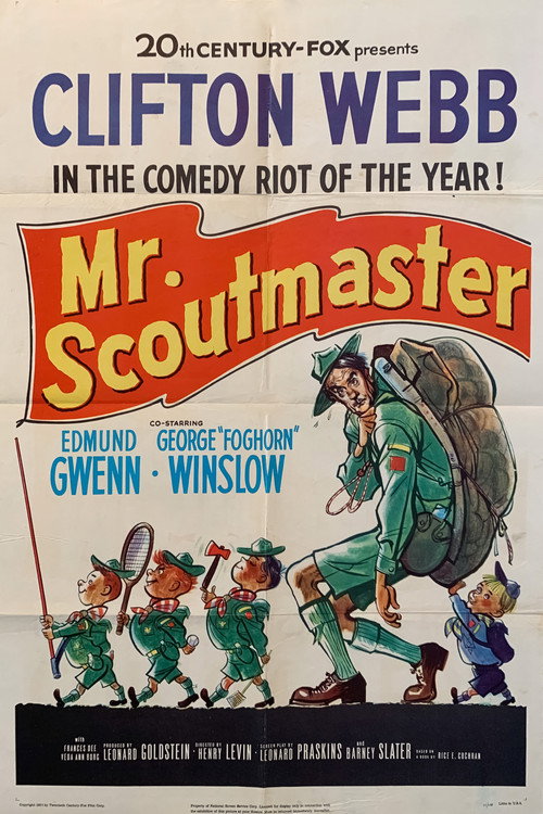 Mister Scoutmaster poster