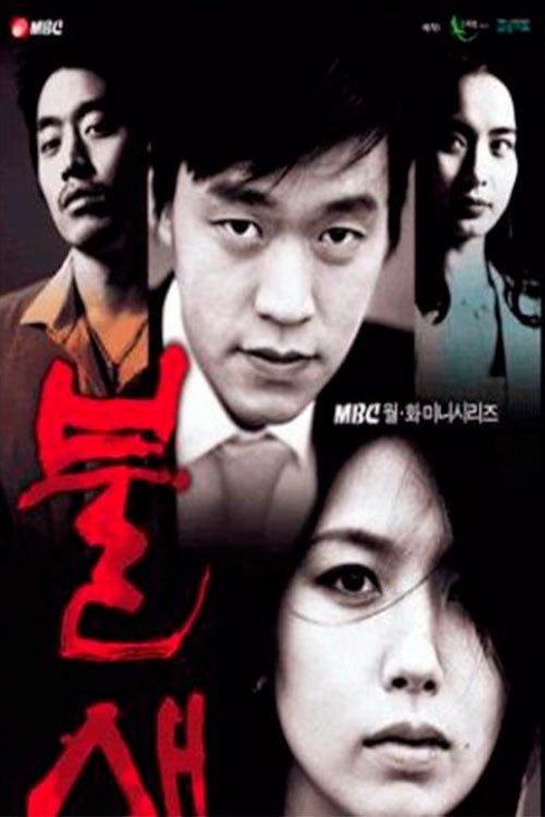 불새, S01 - (2004)