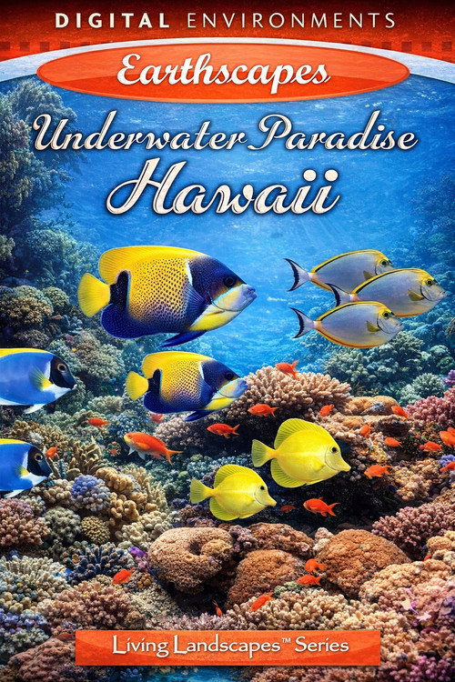 Hawaii Underwater Paradise