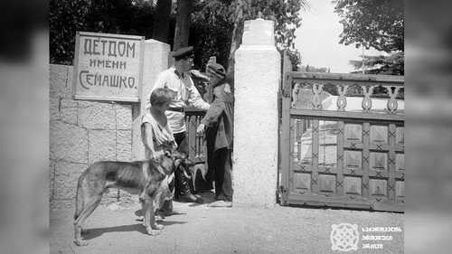 Mitka, Petka and Chemberlen