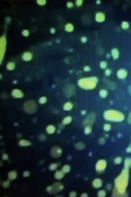 THE DREAM OF FISH (1995) poster